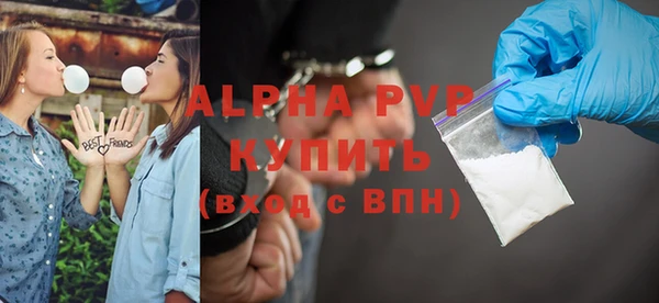 гидра Горняк