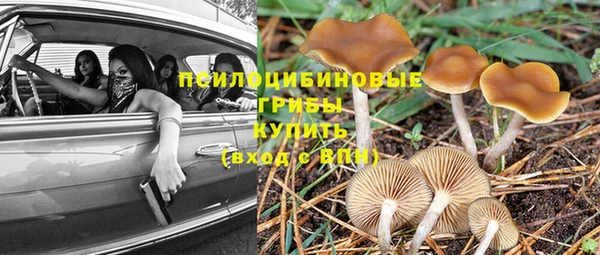 скорость mdpv Нязепетровск