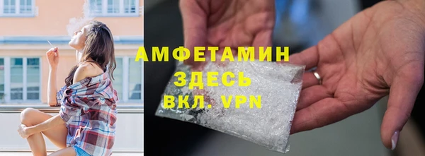 гидра Горняк