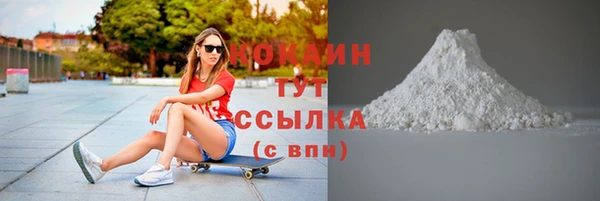 гидра Горняк