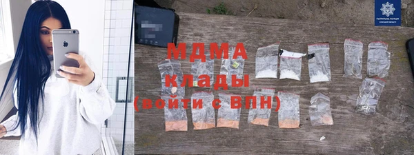 гидра Горняк